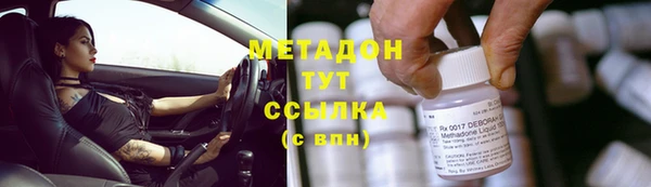 индика Абаза