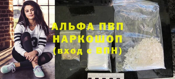индика Абаза