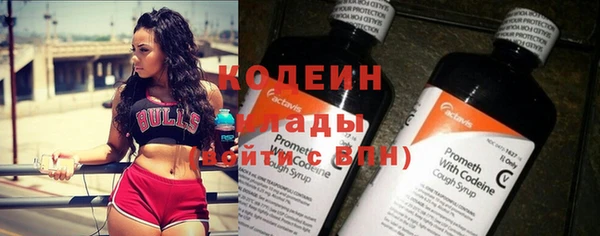 индика Абаза