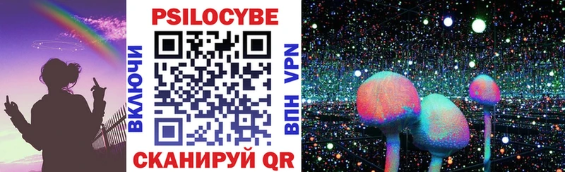 Галлюциногенные грибы Psilocybe  Сольцы 